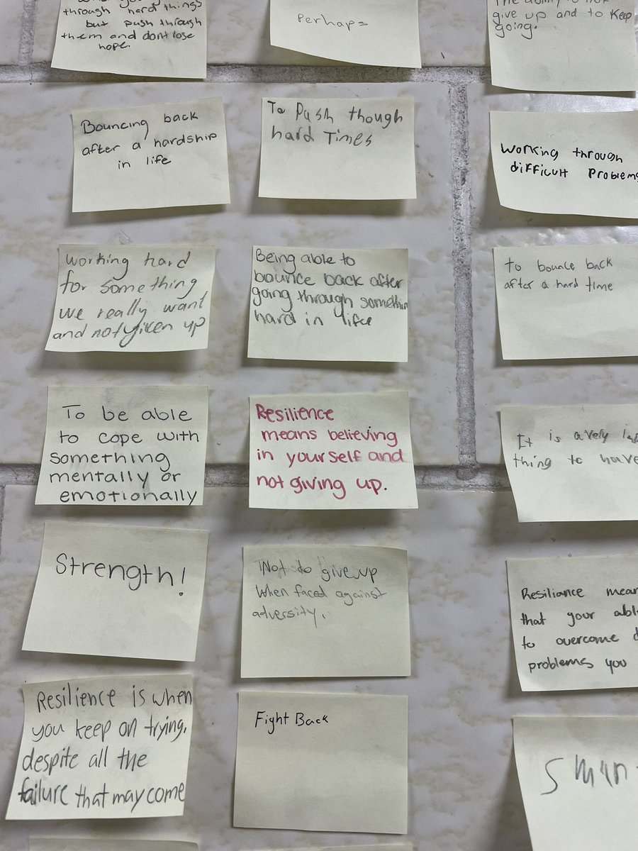 NRHSHOPE's tweet photo. @NREVSD @NewRichmondHS What does “Resilience” mean to you?  NRHS Lions express their thoughts.  #lionstrong #mentalhealthmatters https://t.co/unkTwZlwpA