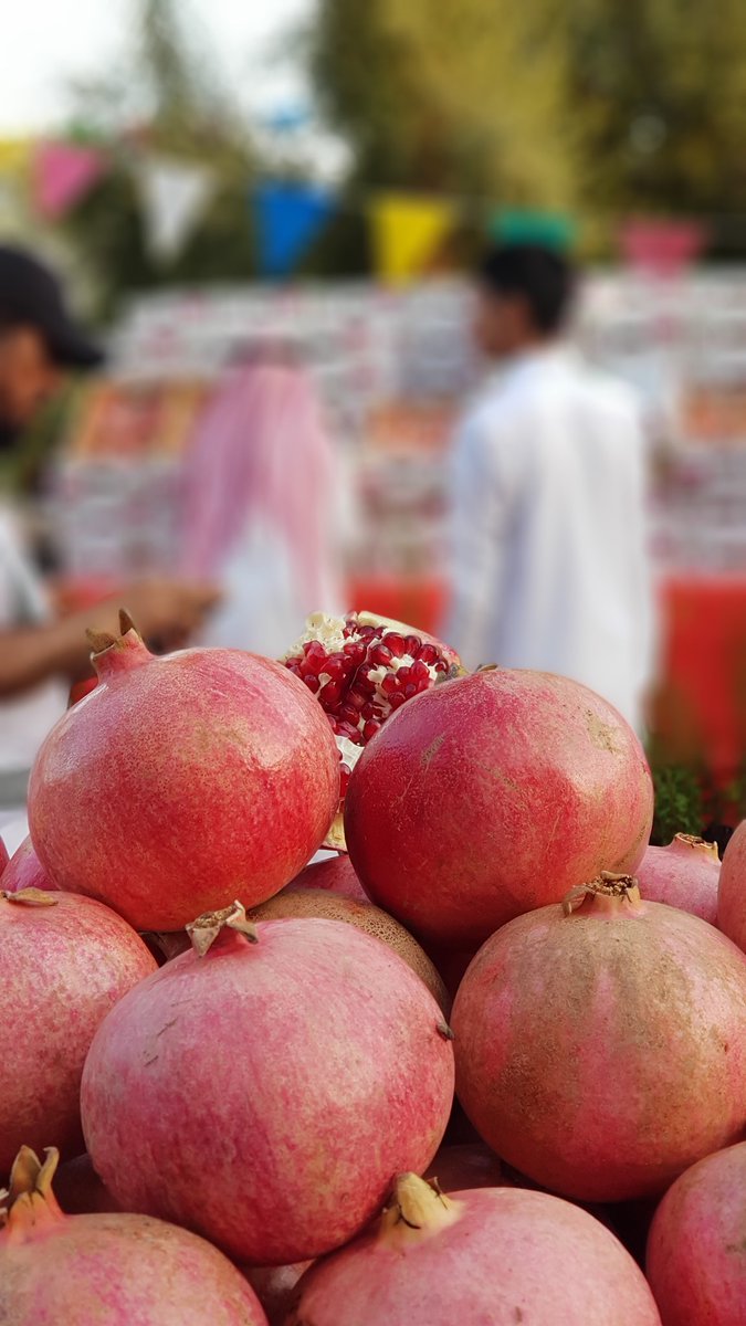 MwasemFarm's tweet photo. #مهرجان_رمان_حائل
#مزرعة_مواسم_التربيه_حائل
#مهرجان
#رمان
#حائل
حياكم الله مستمرين حتى يوم الأحد القادم https://t.co/FU9pzNb57Q