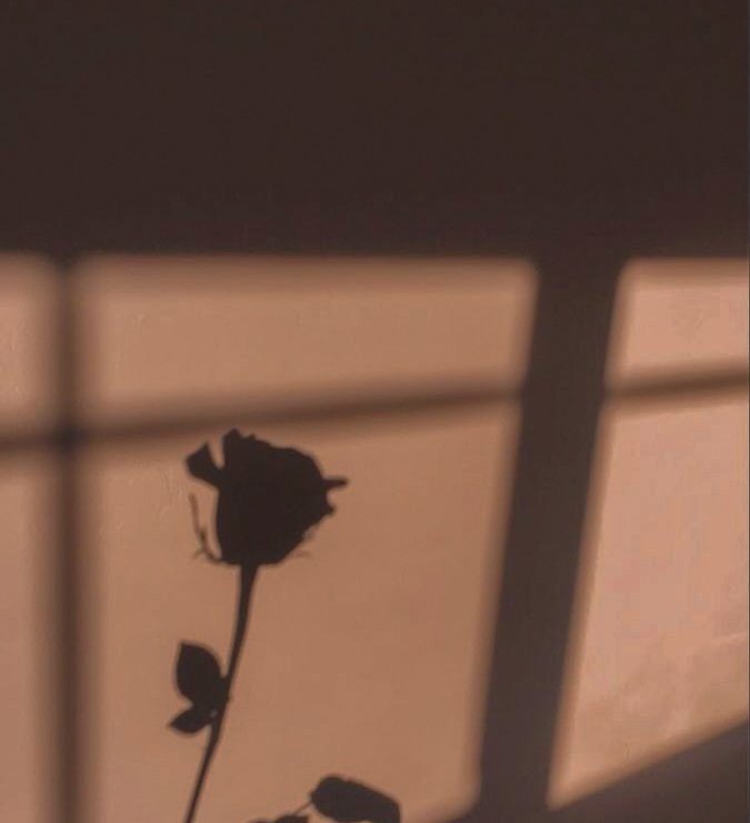 MaiLife23's tweet photo. Create a moody look with window shadows #photography #aesthetic #aestheticphotos #aestheticgrey #aestheticwindow #shadow #windowshadow https://t.co/SRC1F125Uy