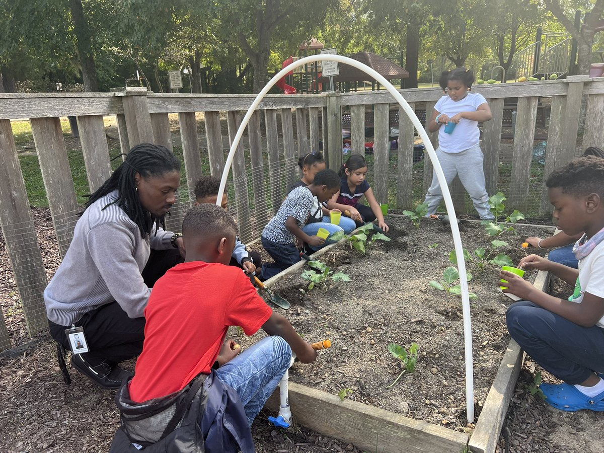 Dbennett2D's tweet photo. It’s a great day to be in the garden 🪴.Once a month classes get a chance to plant, water or reap in the Bugg garden #agricultural Elementary Style #ItsBetterAtBugg #SpectacularSecond https://t.co/rPMtyBNY0c
