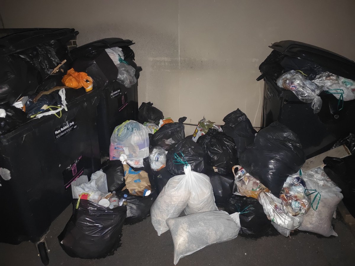 Weird_Fool's tweet photo. @BBCBristol We recently had an unplanned 'trial' of a 4-week collection with the recent bank holiday (it fell on our fortnightly black bin collection)

This was the outcome of 16 flats (who don't get a food waste bin for unknown reasons!) - completely unviable idea https://t.co/2EM8gNrHLo