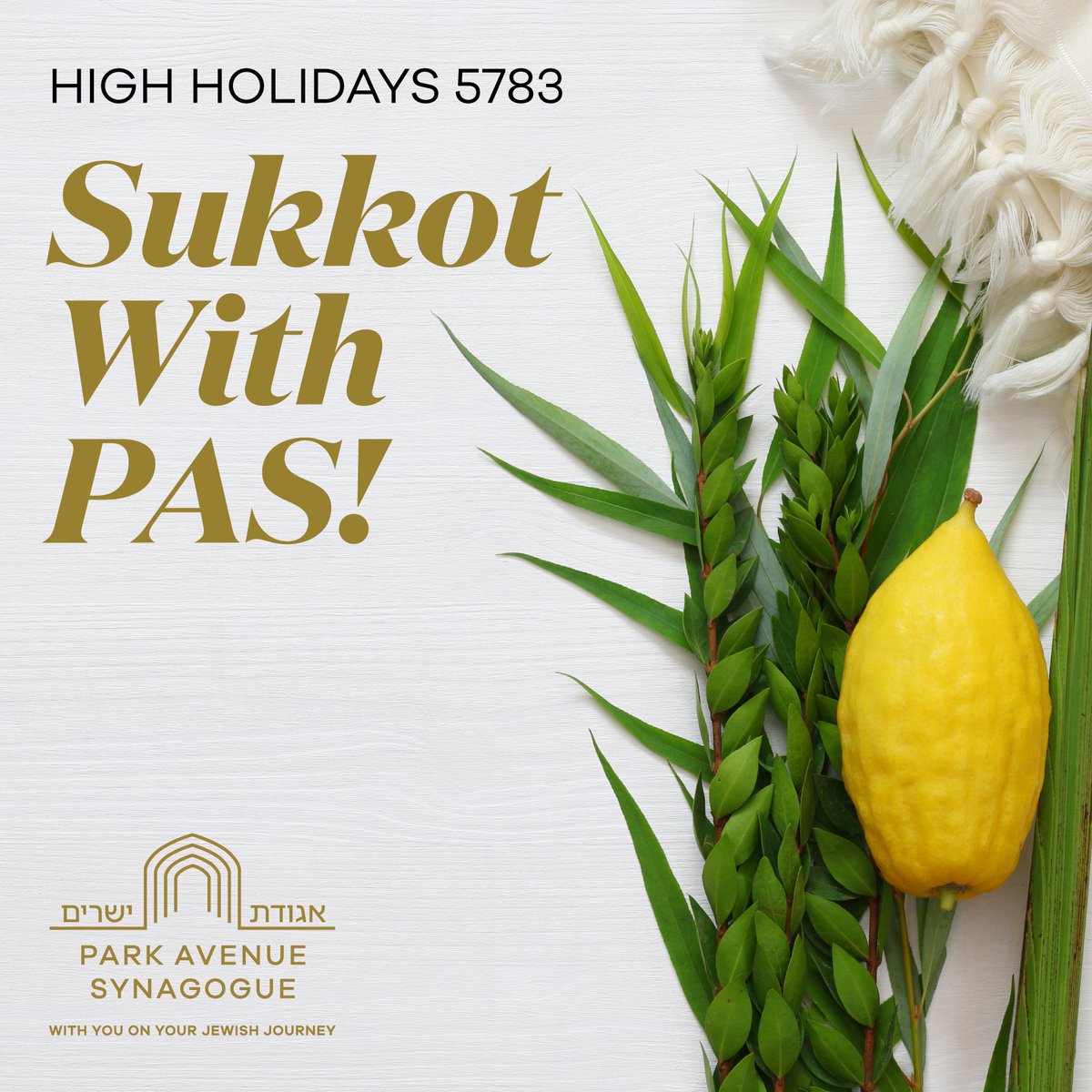 We want to see you celebrating the joyous holiday of Sukkot with us!

Tag us @parkavenuesyn in your photos spending time in the sukkah and rejoicing in the season. They may end up on our social media (or even our website!)

#sukkot #pasyn #letsfillourhouse #holidays
