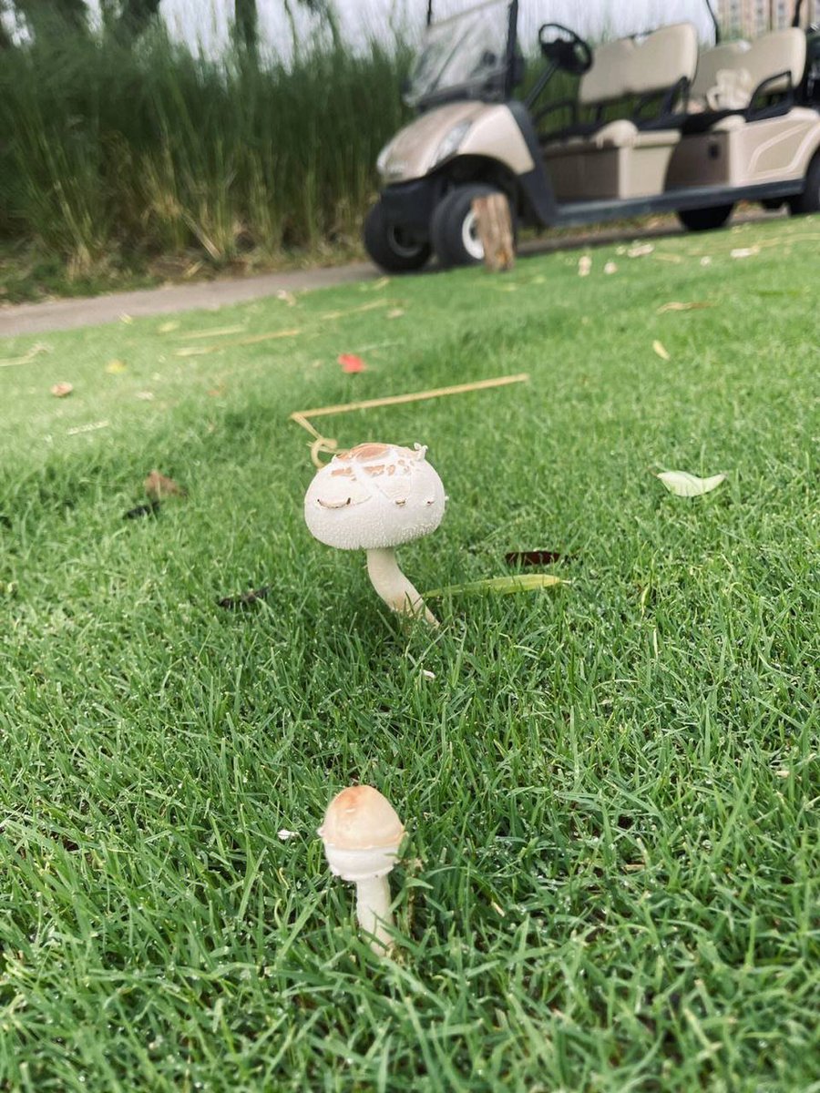 laikesad3's tweet photo. No matter what state you are in, you need to understand that the goal of life is to be healthy and happy. https://t.co/DBOHG3t6ns