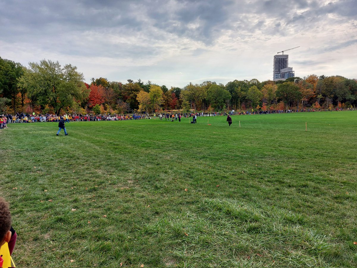 jtyholla's tweet photo. @TDSB_Grenoble running at #crosscountry #TDESSA today! Go Grizzlies Go! Grades 1-6 are pumped up! #letsgoGrizzlies https://t.co/0jdwYE0Hco