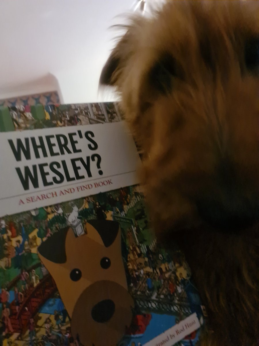 wesley_terrier's tweet photo. Me and little hooman have a new book, i've made it to print!!🇮🇪🐕 https://t.co/ZfZWfyumWk