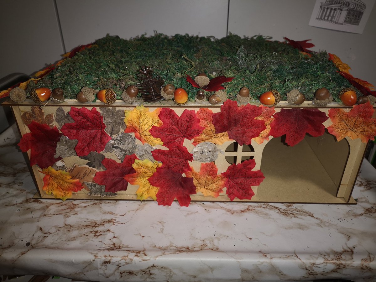 Allison19716's tweet photo. @HC_One rose court our headgehog house... Ready for our garden. @leabat3 @KarenDavies9040 @Artsincarehomes @_WildlifeinNeed @NAPAlivinglife https://t.co/J1c2fMxlqb