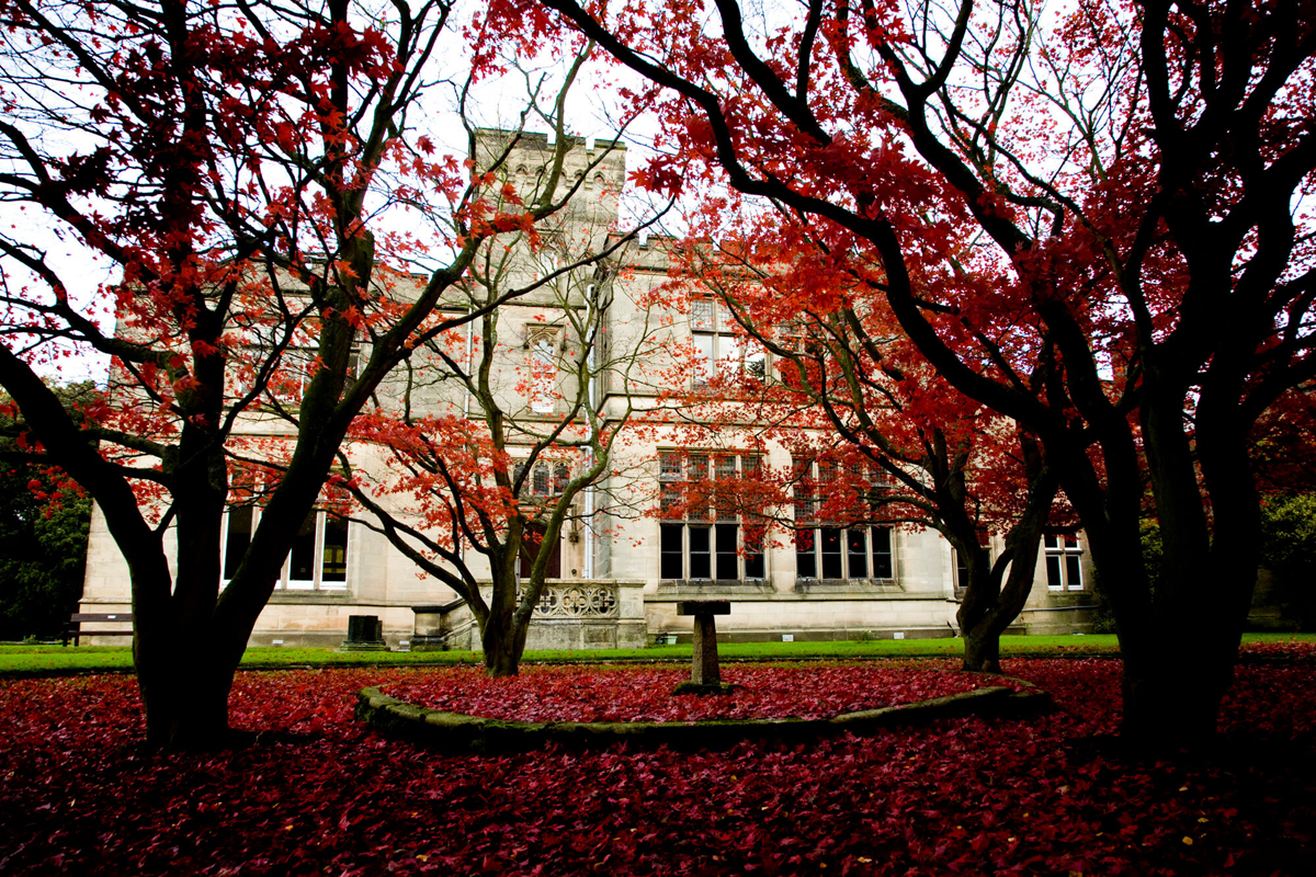 HamptonManor's tweet photo. The ever so autumnal view back into #peelsrestaurant, our Michelin starred dinner-spot at the heart of the Manor House 🍁🍁🍁
#autumnleaves #autumnbreak #dinnerwithaview
#countryhouse #englishhome #heritage #countryhousestyle #countryhouselife #westmidlands #england https://t.co/OiRQflLhMY