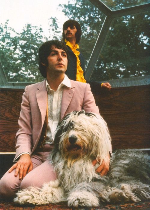 beatlesbrasil's tweet photo. https://t.co/iKIemPrgEj