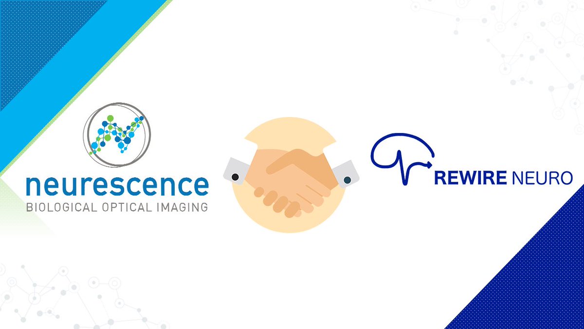rewireai's tweet photo. We are so excited to announce our partnership with @neurescence to provide #AI for the detection and quantification of in-vivo calcium imaging and optogenetics! We’ve been working hard with Neurescence to build some incredible technology and we’re so happy to be able to share it. https://t.co/p6hE1XNMJy