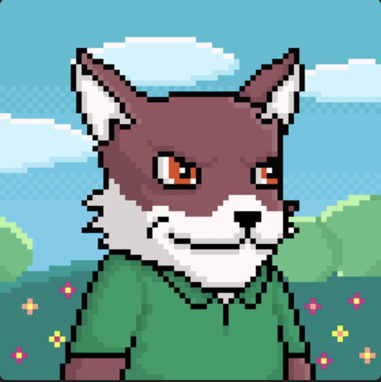 AB_MOUKADIRI's tweet photo. @solgurusol @PrivateFoxes 🦊 #privatefoxes @PrivateFoxes 🦊 https://t.co/EZUFtN5Irg