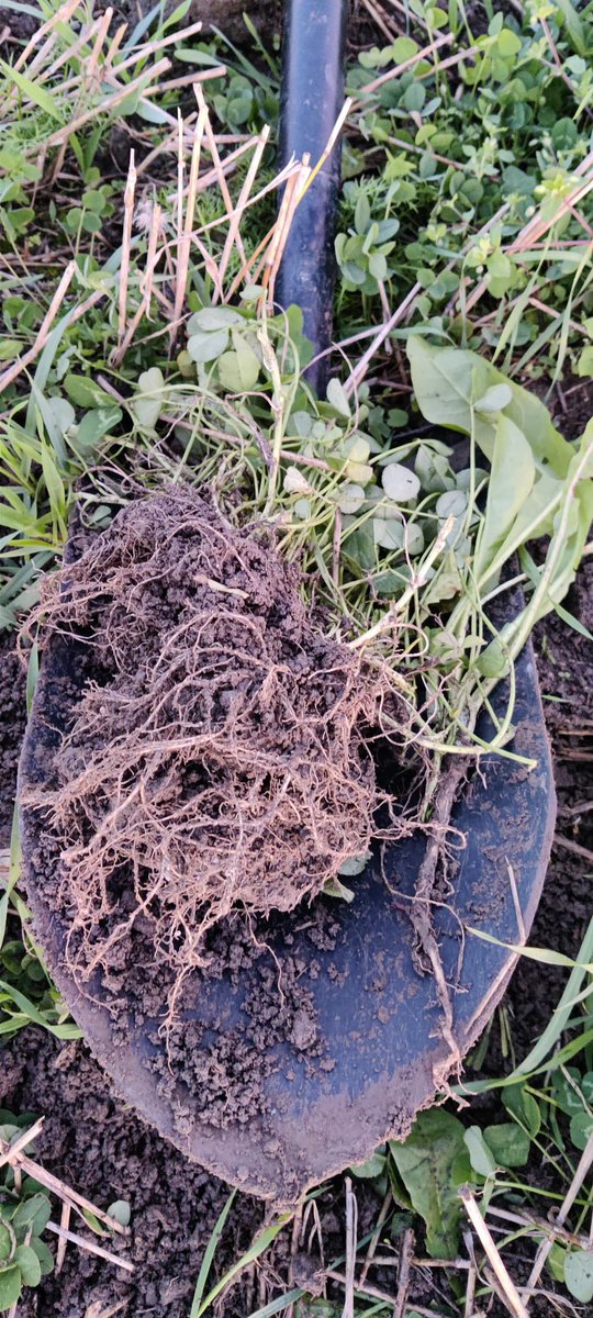 Annaleena Ylhäinen 🇫🇮🇺🇦 tweet media