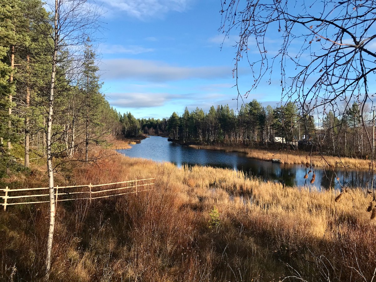 anthonyspeca's tweet photo. Fantastic to spend lovely autumn day in Inari/Ánár visiting @SajosInari Sámi cultural centre and headquarters of #Sámi Parliament in Finland, as well as @SiidaInari - a gem of a museum dedicated to Sámi history and culture. Thank you/giitu to both institutions for welcoming us! https://t.co/4cqRHUcjii