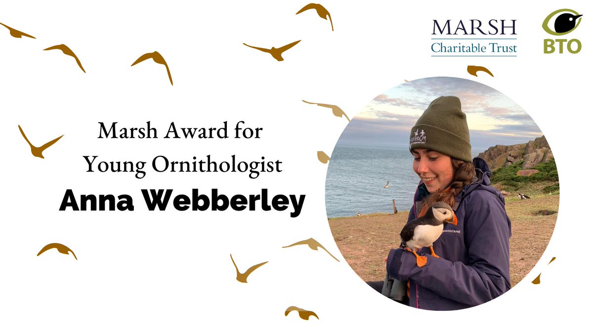 Congratulations to Anna Webberley, winner of the Marsh Award for Young Ornithologist! Anna relaunched @CUBirds &, as the Society’s president, promoted citizen science programmes including @birdsinwales Rook Survey & @WeBS_UK. @swlanaturaleye @MarshAwards #MyBTO #CitizenScience