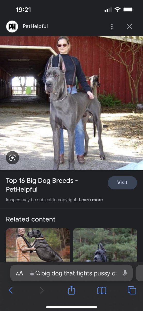 joshcairns_'s tweet image. Steady on mate please