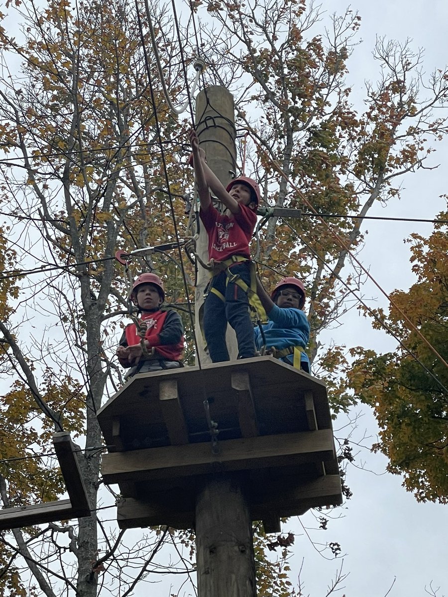 Tyler C. Hollinger tweet media