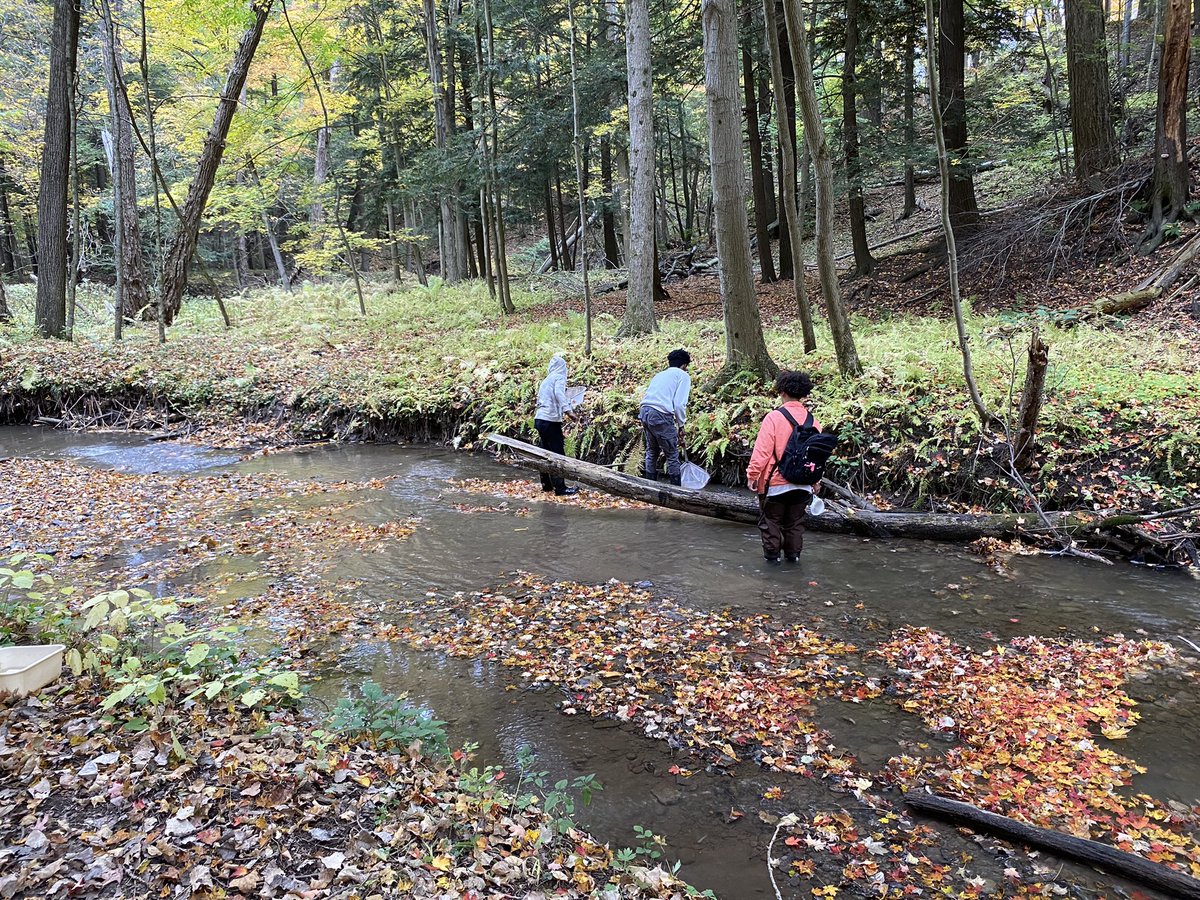 Mitch Ritter tweet media