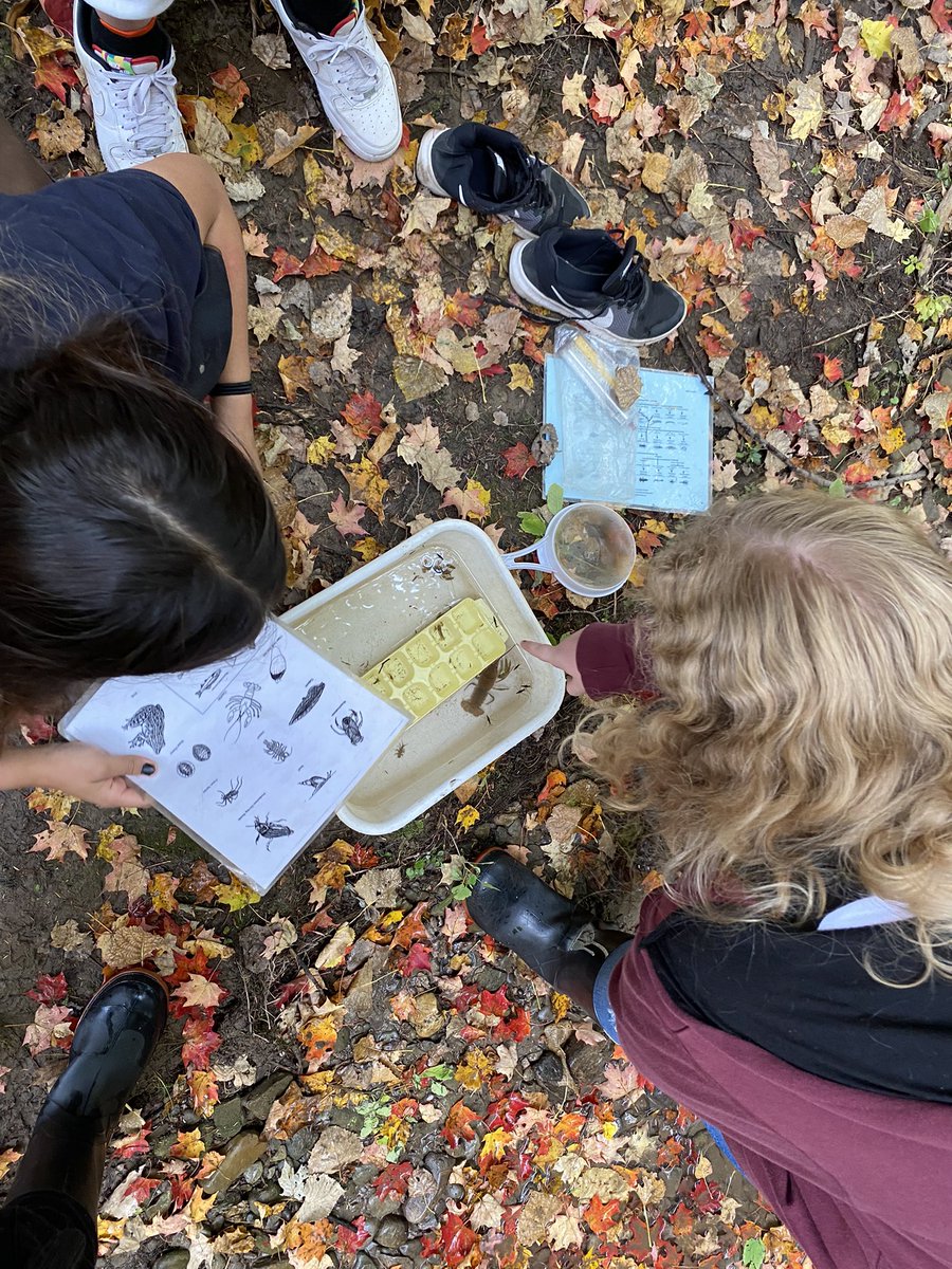 Mitch Ritter tweet media