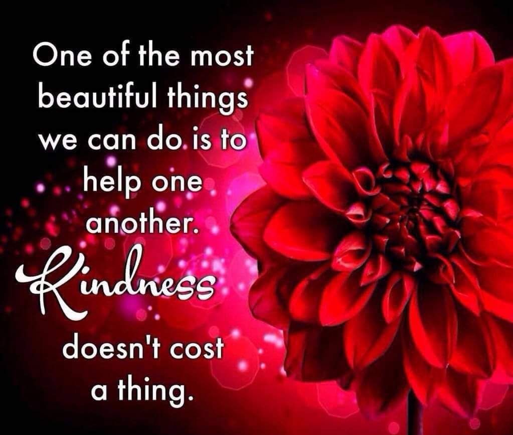 BhupeshUpadhye's tweet photo. @ArzuQaderi #bestrong
#behelpfull
#besting
#bebeautiful https://t.co/1Lx3Z7ESt3