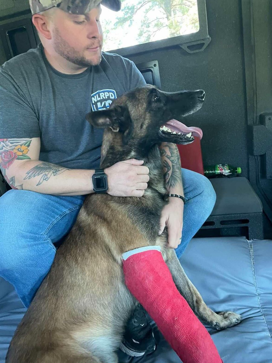 Missing in Action North Little Rock Police looking for missing K9 😟This is hero K9 Rakkie, shot 3 months ago. The limping is because of that. katv.com/news/local/nor… #ThinBlueLine #dog #K9 #police #WaronDrugs #OPLive #OnPatrolLive @OfficialOPLive