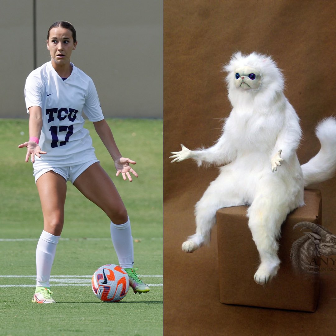 TCU Soccer (@tcusoccer) on Twitter photo 
