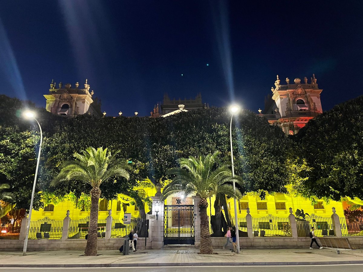 Así de bonito luce a estas horas el Palacio Provincial con los colores de la bandera 🇪🇸 en el Día de la Hispanidad 👏🏼👏🏼👏🏼 Si estás por el centro de #Alicante no dudes en darte un paseo hasta <a href="/dipuAlicante/">Diputación de Alicante</a> y apreciar esta iluminación rojigualda.