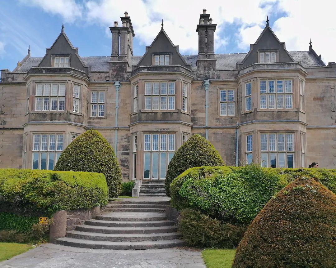 DestinationKillarney tweet media