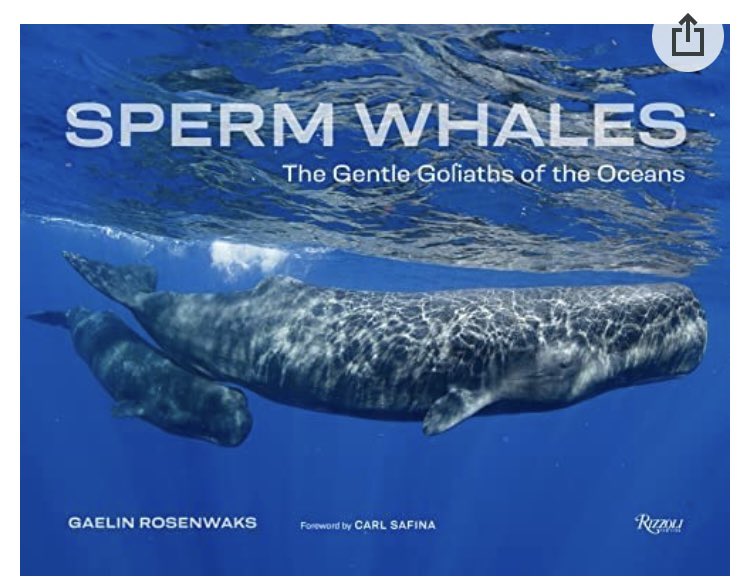 Seacamp Nhmi So many talented alumni to share! Today's highlighted book will be available November 8: 'Sperm Whales: The Gentle Goliaths of the Ocean' by Seacamp alum Gaelin Rosenwaks. Recently reviewed in the New York Times and with a Forward by Cark Safina.