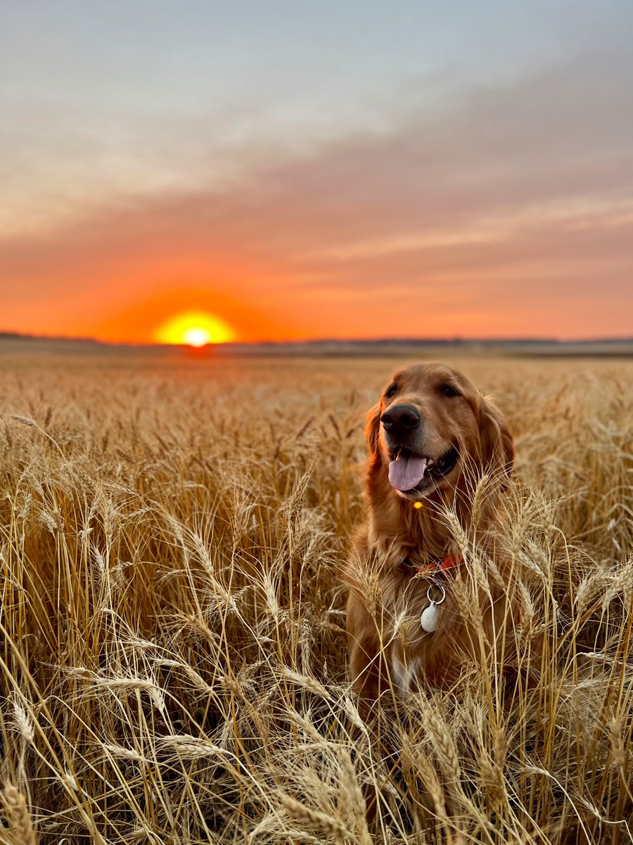 Jake Ayre tweet media