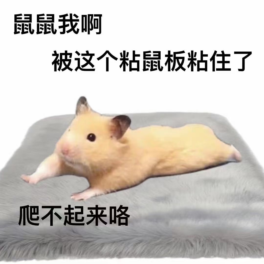 Alleumn's tweet photo. https://t.co/eZ1hV5pXyc