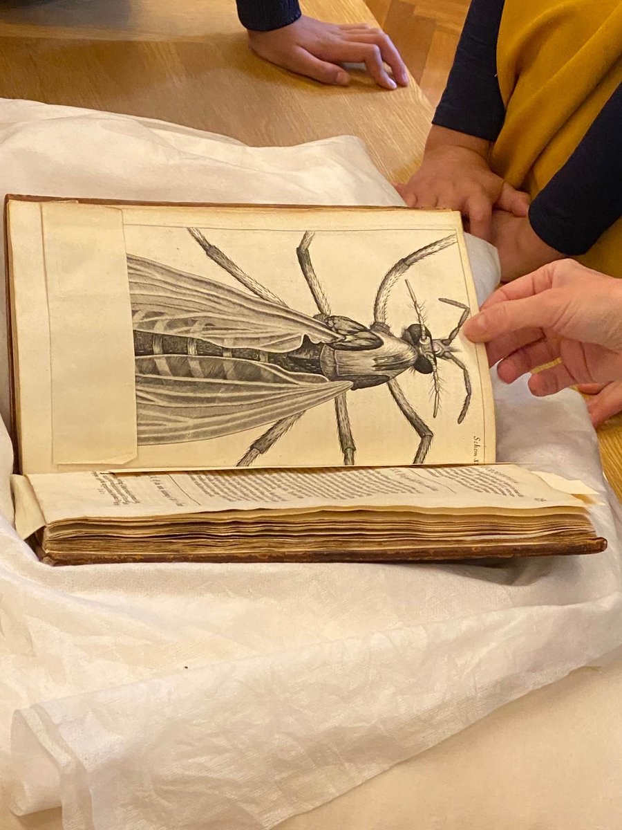 ECSPrepSchool's tweet photo. A big thank-you to @ExeterCathedral's Librarian, Emma Laws, who invited our Year 7 pupils to explore one of the remaining original copies of #micrographia by Robert Hooke.
How fortunate we are to view up so close a 350 year-old book 📚 https://t.co/VbX2cCU4Jo