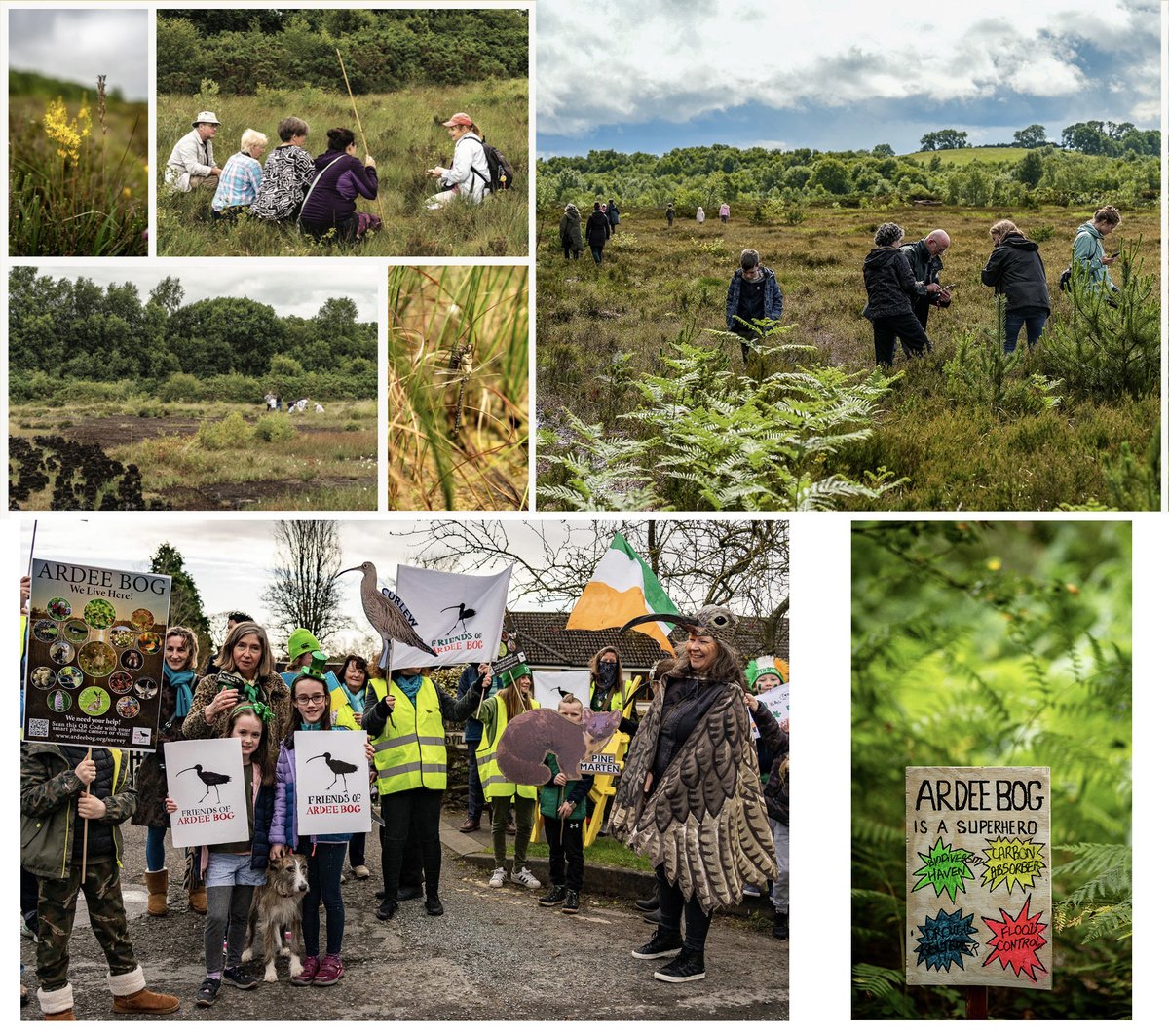 Friends of Ardee Bog tweet media