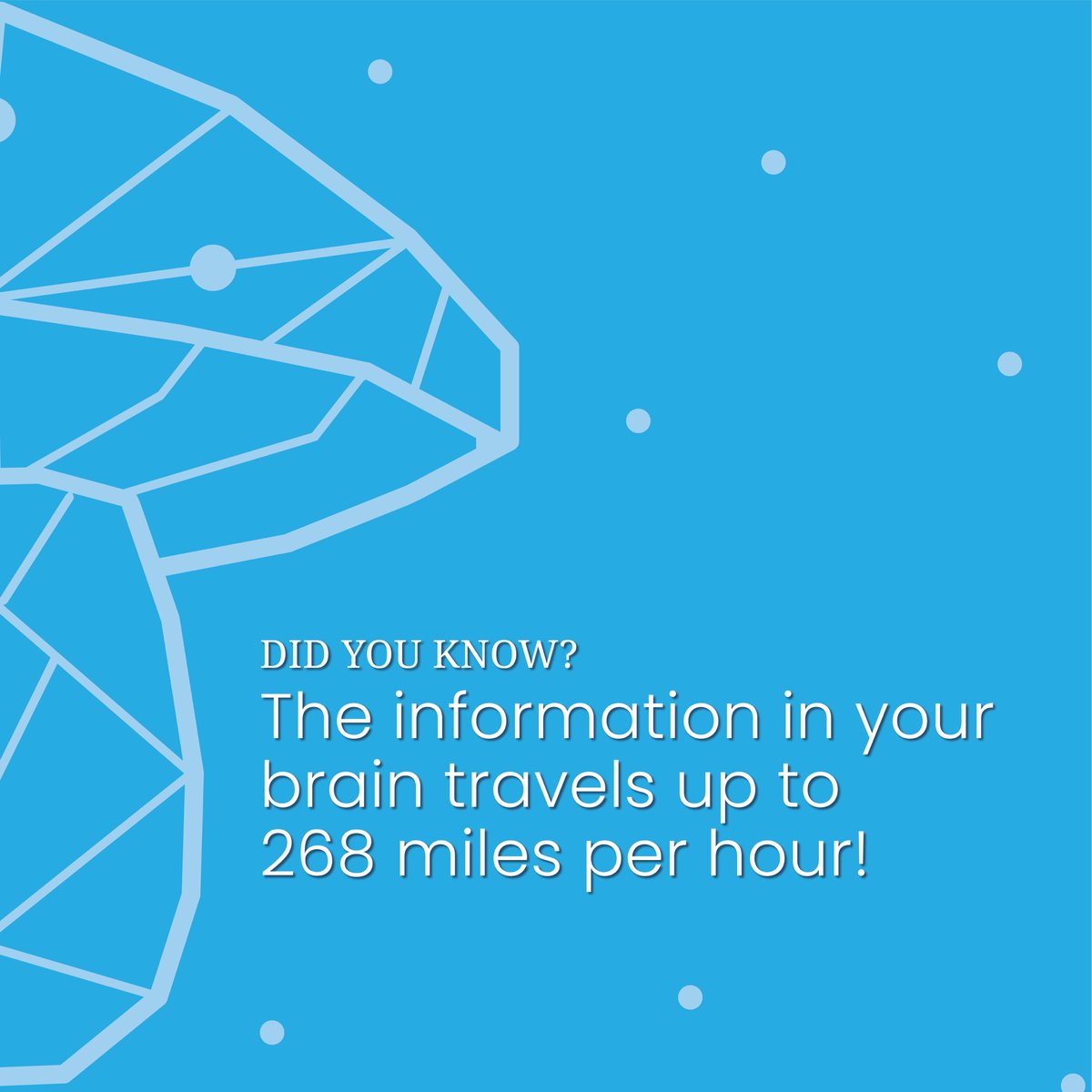 SporingCompany's tweet photo. Did you know?
The information in your brain travels up to 268 miles per hour! 🧠
https://t.co/YOMR86s6Ss
#TheMoreYouKnow #BrainFacts #TheSporingCompany #BrainSpeed #Toronto #Vancouver #Calgary #Edmonton #Montreal #Halifax #Ottawa https://t.co/Bn4bacxo8K