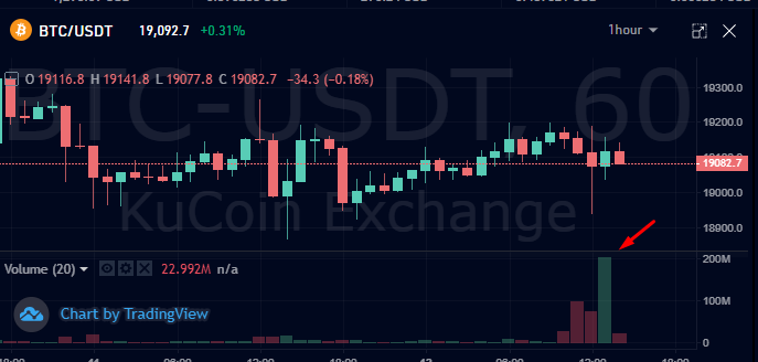 Bitcoin Bulls defending 19K hard as last two days of crypto news is very positive!

trade.patriotexchange.net