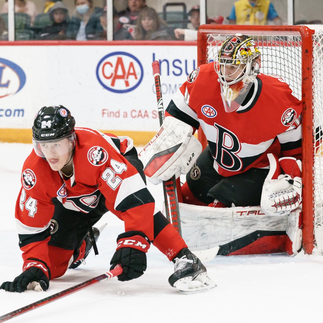 Belleville Senators tweet media