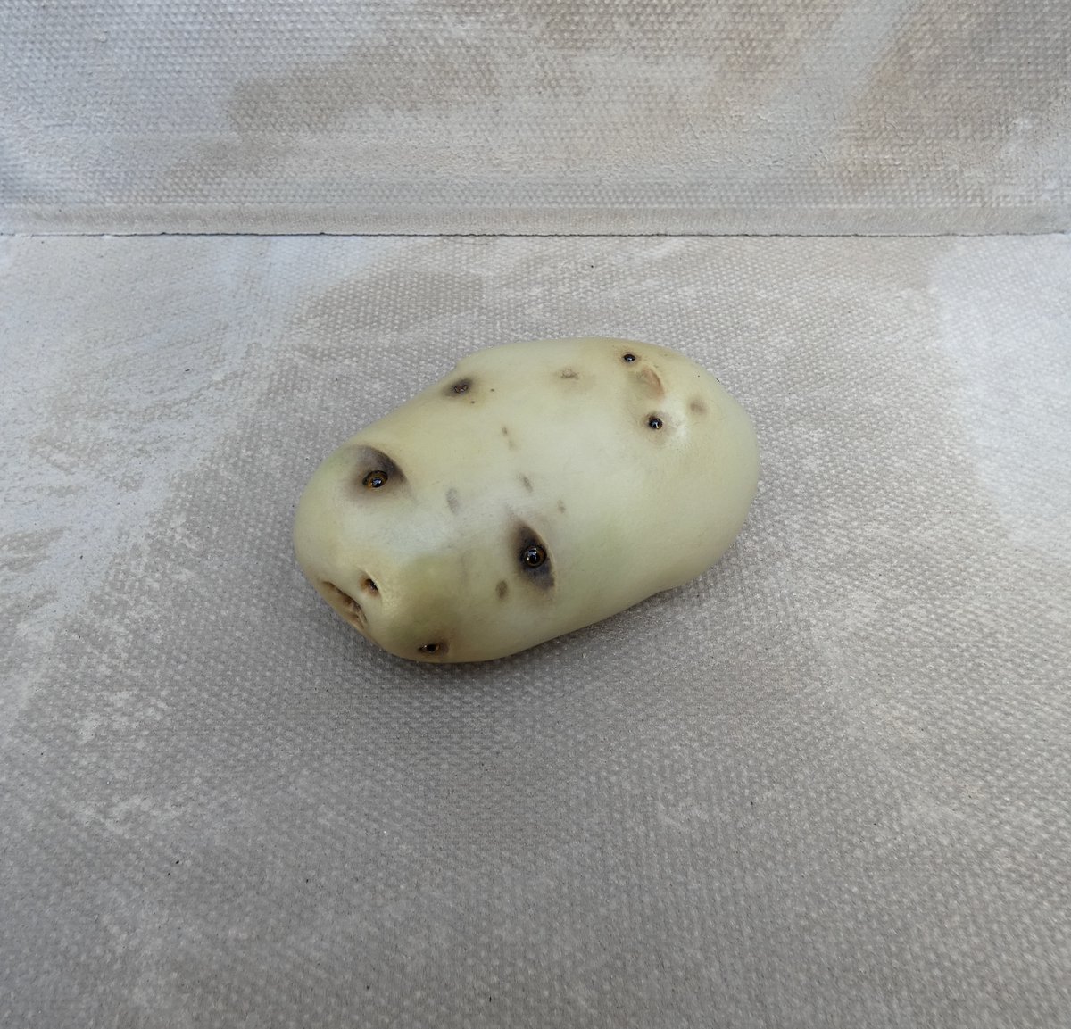 lindahubbardart's tweet photo. Project Pfizerland: In Pfizerland Potatoes have Eyes. Vegetables that see.
Materials; Resin plaster, acrylic paint, oil paint, glass eyes.
©Linda Hubbard 2022.
#sculpture https://t.co/gCSy689bsX