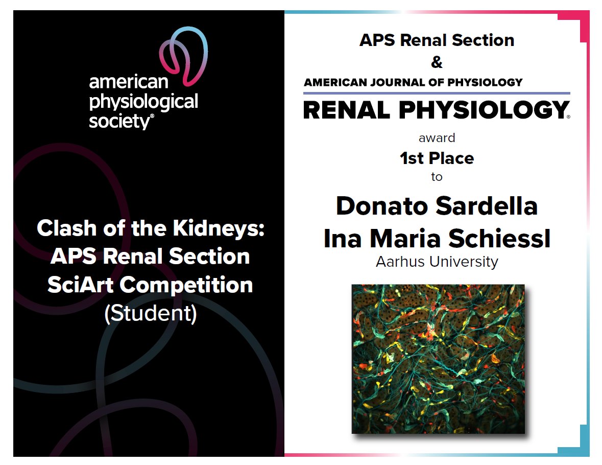 AJP Renal (@ajprenal) on Twitter photo CONGRATULATIONS👏🏽👏🏽
Clash of the Kidneys: APS Renal Section #SciArt Competition
🥇1st Place Student Category........
ow.ly/U38450L86Rq
#AJPRenal <a href="/Ina_M_Schiessl/">Ina Maria Schiessl</a> <a href="/AarhusUni/">Aarhus Universitet</a> CONGRATULATIONS👏🏽👏🏽
Clash of the Kidneys: APS Renal Section #SciArt Competition
🥇1st Place Student Category........
ow.ly/U38450L86Rq
#AJPRenal <a href="/Ina_M_Schiessl/">Ina Maria Schiessl</a> <a href="/AarhusUni/">Aarhus Universitet</a>