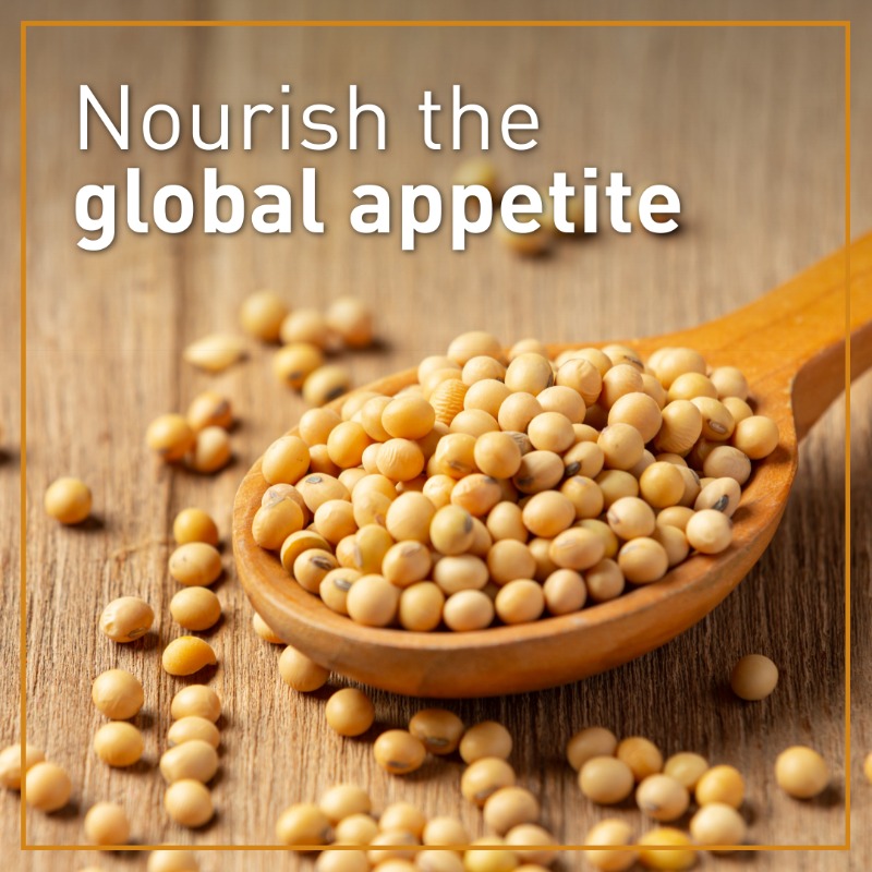 Sevita_Int's tweet photo. This growing season, take advantage of rising demand for food-grade soybeans!

With strong agronomic performance in Manitoba, Sevita's unique and specialized varieties are well-positioned to meet the needs of end users around the world. 

Learn more: https://t.co/t8rUtEiCKc