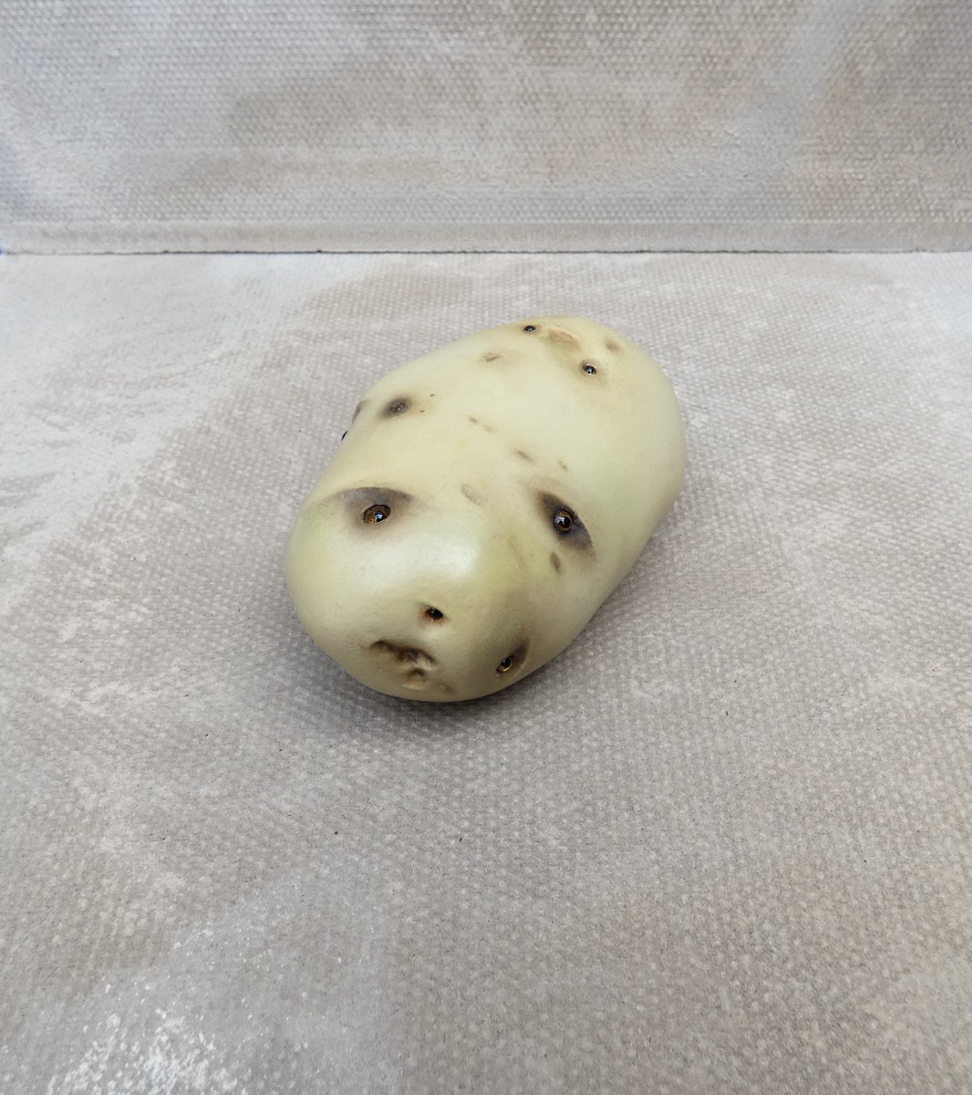 lindahubbardart's tweet photo. Project Pfizerland: In Pfizerland Potatoes have Eyes. Vegetables that see.
Materials; Resin plaster, acrylic paint, oil paint, glass eyes.
©Linda Hubbard 2022.
#sculpture https://t.co/gCSy689bsX