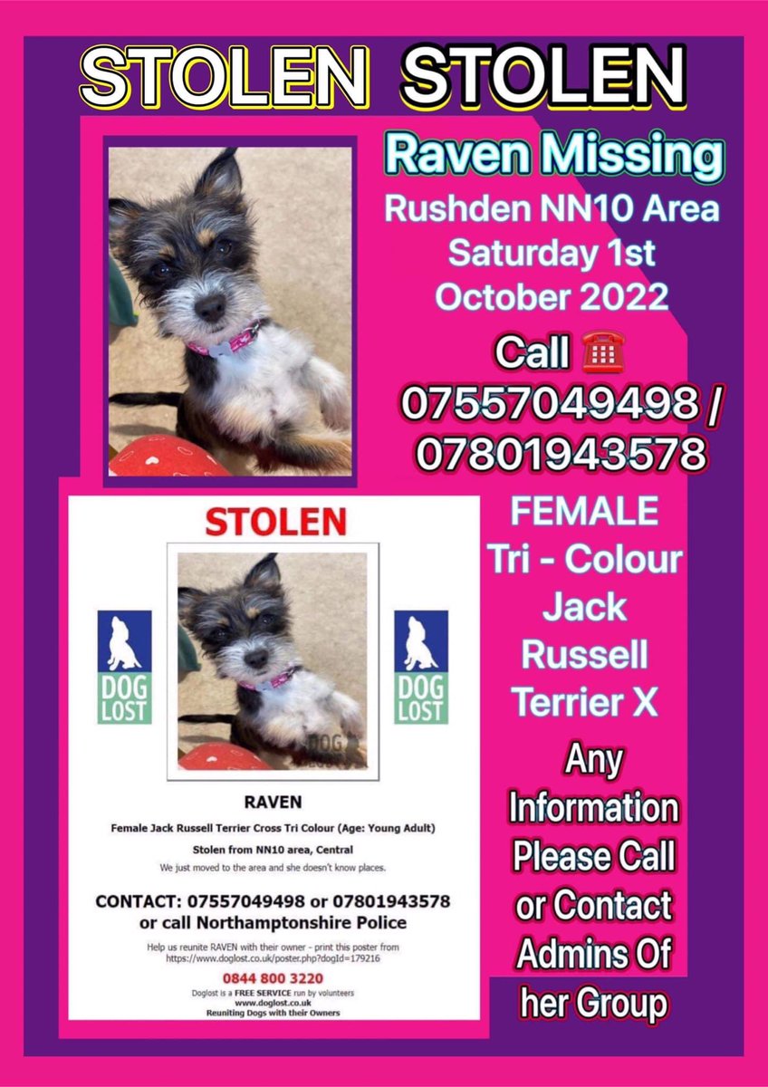 LisaLisaw1's tweet photo. #FindRaven #Stolen #Rushden #Northamptonshire 01.10.22 https://t.co/66LQEaUSVR