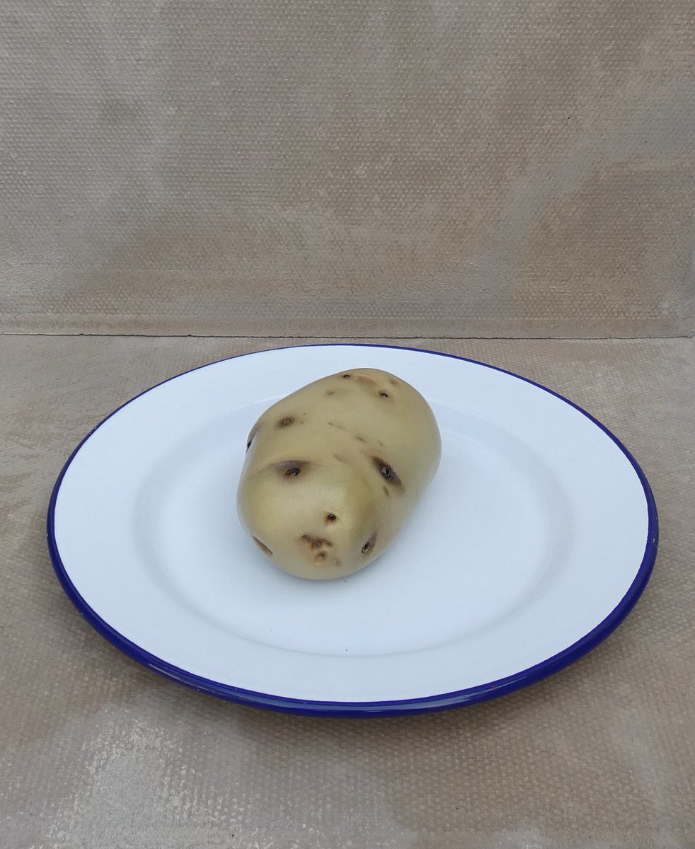 lindahubbardart's tweet photo. Project Pfizerland: In Pfizerland Potatoes have Eyes. Vegetables that see.
Materials; Resin plaster, acrylic paint, oil paint, glass eyes.
©Linda Hubbard 2022.
#sculpture https://t.co/gCSy689bsX