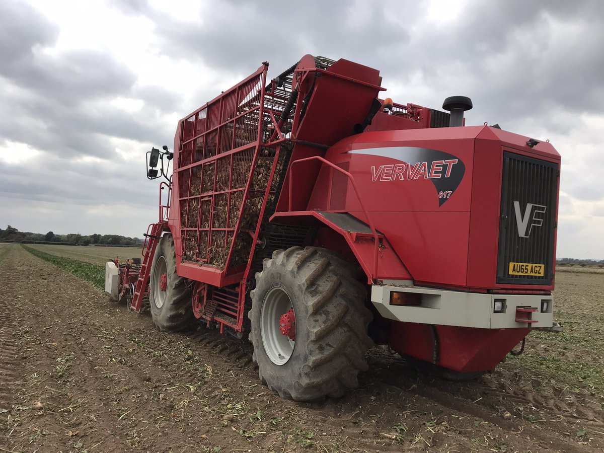 JimScarratt's tweet photo. 20ha down, 180 to go. #beet22 is go. #vervaet @JRileyBeet @BritishSugar @NFUSugar #backbritishfarming #buylocal https://t.co/takQLOa36P