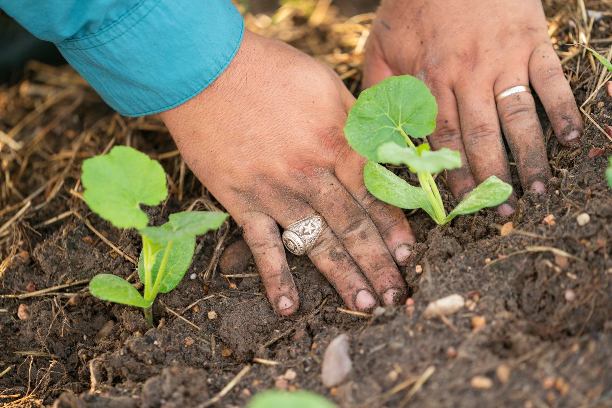 👨‍🌾 Farmers Fight! 👨‍🌾

Happy #NationalFarmersDay, Aggies! It's a good day to thank an Aggie farmer.