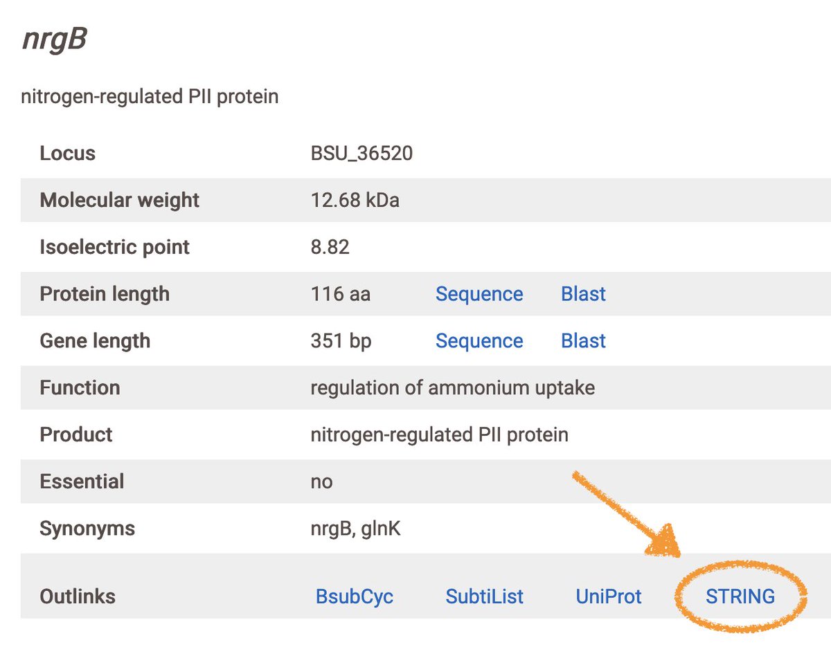 c_elfmann's tweet image. We've added outlinks for string-db.org to subtiwiki.uni-goettingen.de and mycowiki.uni-goettingen.de! Use it to view known and predicted PPIs in an interactive network graph. 

Example shown for nrgB/glnK: subtiwiki.uni-goettingen.de/v4/gene?id=EC7…

#STRINGdb #SubtiWiki #MycoWiki