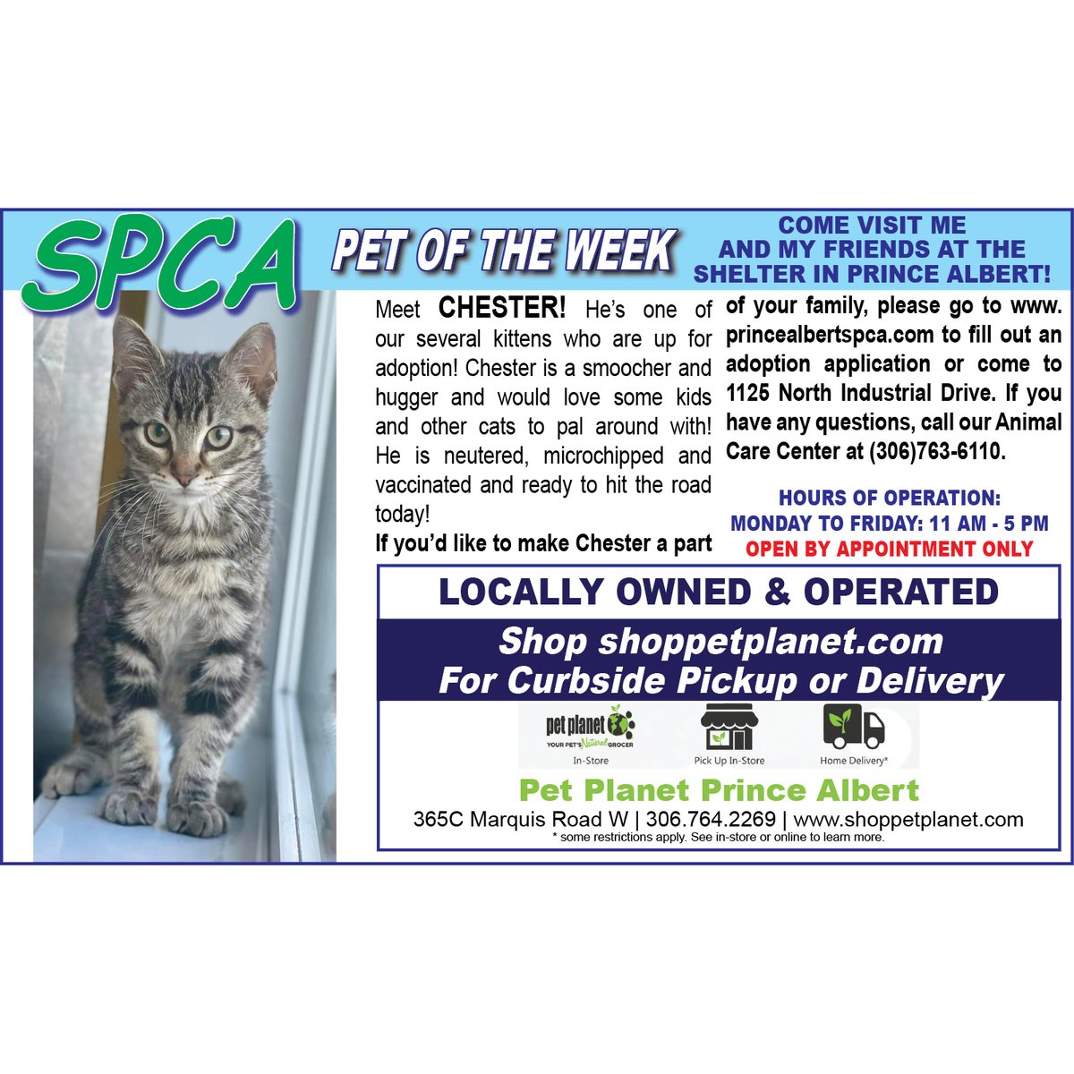 PAShopper's tweet image. SPCA - Pet of the Week
princealbertshopper.com/spca
#SPCA #PetoftheWeek #princealbertshopper