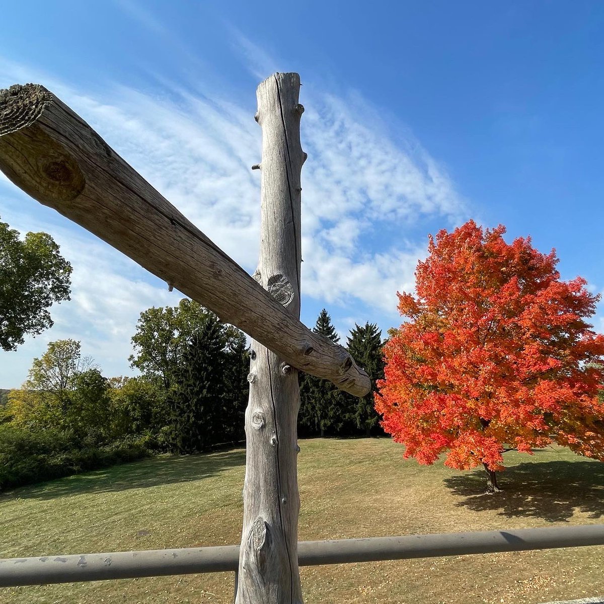 cuaa's tweet photo. There’s nothing like a walk around campus in the fall!🍂

📸: @gracehedtkee https://t.co/6olf7cSrJi