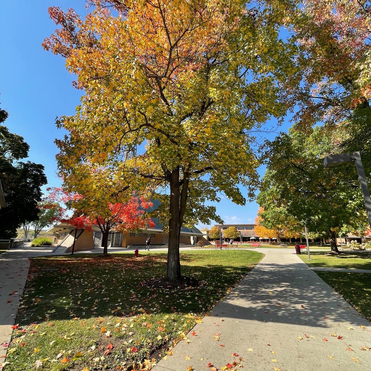 cuaa's tweet photo. There’s nothing like a walk around campus in the fall!🍂

📸: @gracehedtkee https://t.co/6olf7cSrJi