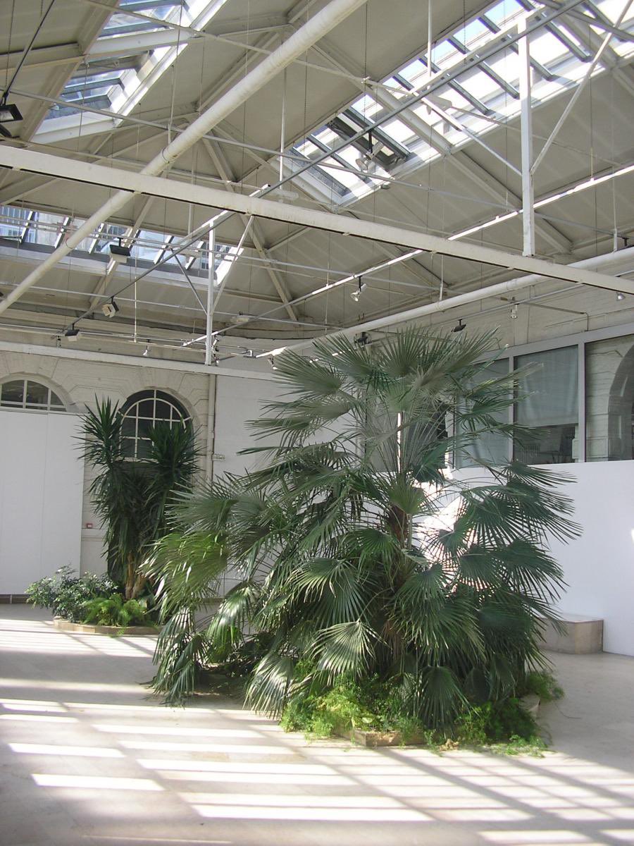 ava_laurie's tweet photo. JOIE d’avoir été sélectionnée pour la programmation de LA SERRE à Saint-Etienne pour un solo show en Mai Juin 2023 🌿 https://t.co/DLEsvJVkpI