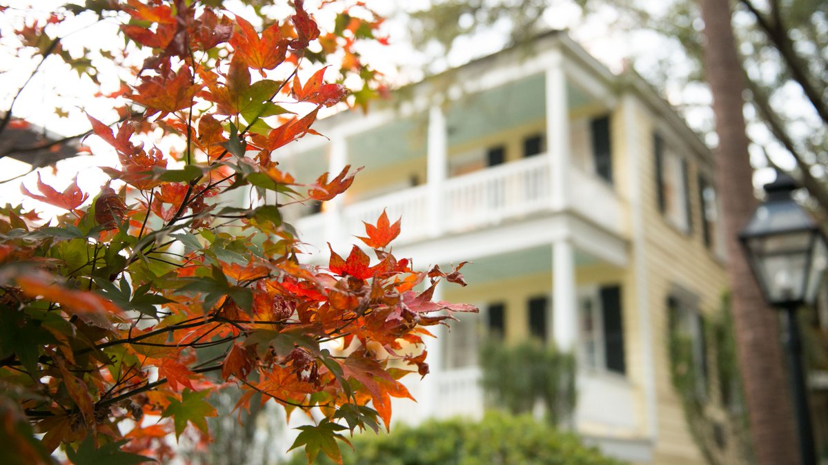 CofC's tweet image. How could you not FALL for this campus? We're still #FallingForFall. 🍁🍂

#Fall #CollegeofCharleston #Charleston
