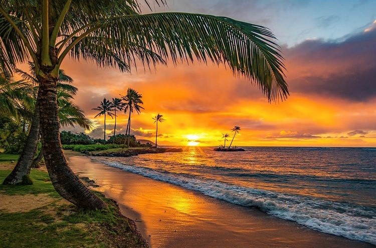 Oahu, Hawaii, United States
📸: Shane Myers 
#UnitedStates🇺🇸  #traveling  #travelphotography  #hawaii #hawaiilife #paradise #natgeolandscape #ig_captures #natgeotravelpic #natgeotravel #beach #ocean #ig_exquisite #ig_worldclub #sunrise #hawaiibestphotos #honolulu