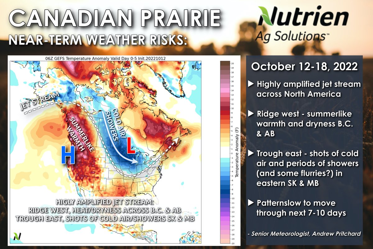 Canadian Prairie: Highly amplified jet stream across North America leaves the pattern rather unchanged across western Canada. Ridge west keeps summer-like warmth and dryness over B.C., AB, west SK. Shots of cold air, periods of showers rotate around upper-level low in the east.